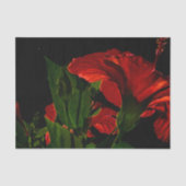 High Contrast Hibiscus Flower Photo Illustration Tissuepapier (Voorkant)