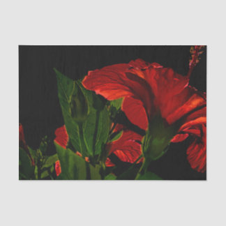 High Contrast Hibiscus Flower Photo Illustration Tissuepapier