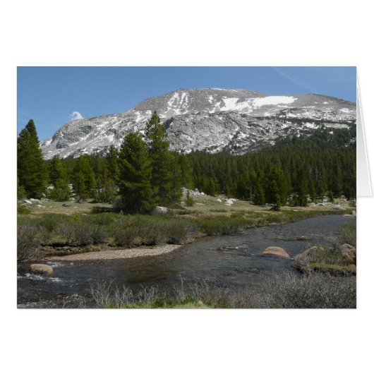 High Country Mountain Stream II in Yosemite (Voorkant Horizontaal)