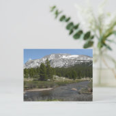 High Country Mountain Stream II in Yosemite Briefkaart (Staand voorkant)