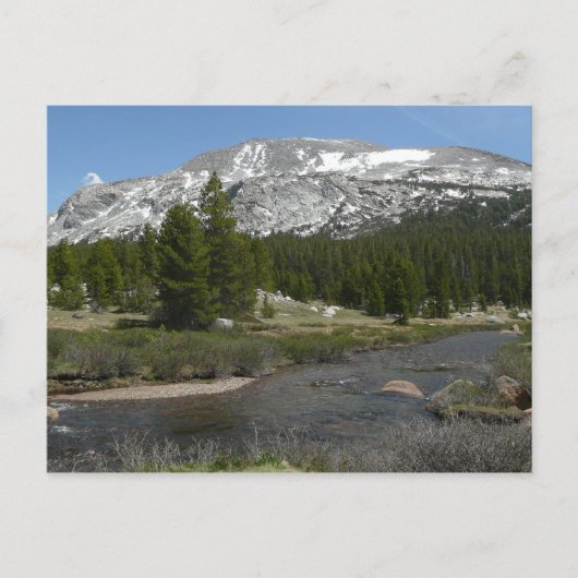 High Country Mountain Stream II in Yosemite Briefkaart (Voorkant)