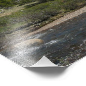 High Country Mountain Stream II in Yosemite Foto Afdruk (Hoek)