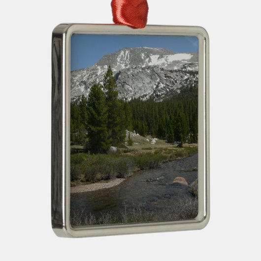 High Country Mountain Stream II in Yosemite Metalen Ornament (Rechts)
