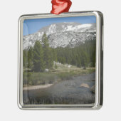 High Country Mountain Stream II in Yosemite Metalen Ornament (Links)