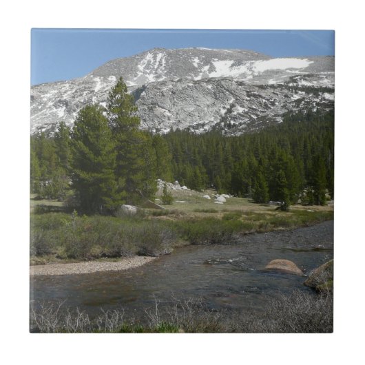 High Country Mountain Stream II in Yosemite Tegeltje (Voorkant)