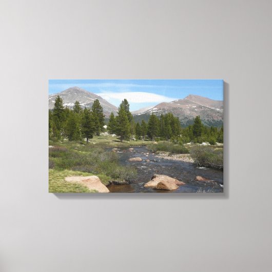 High Country Mountain Stream III bij Yosemite Canvas Afdruk (Voorkant)