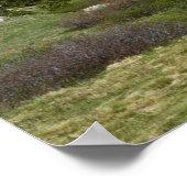 High Country Mountain Stream III bij Yosemite Poster (Hoek)
