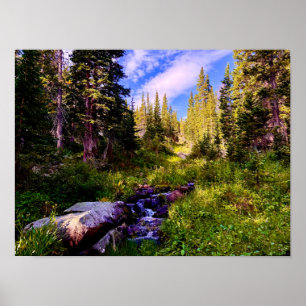 High Country Triumph – Colorado Bergwandeling Poster
