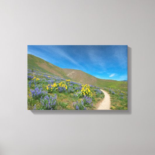 High Desert Spring Bloom Canvas Afdruk (Voorkant)