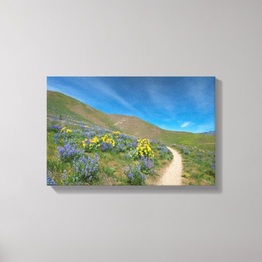 High Desert Spring Bloom Canvas Afdruk (Voorkant)