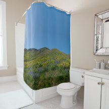 High Desert Spring Bloom