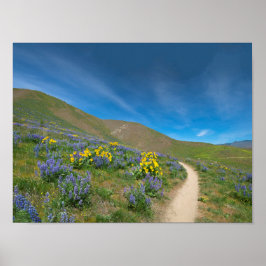 High Desert Spring Bloom Poster