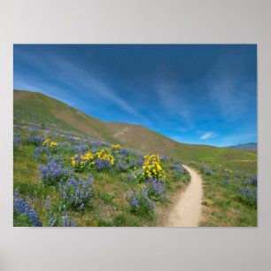 High Desert Spring Bloom Poster