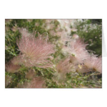 High Desert Wildflowers Kaart