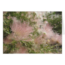 High Desert Wildflowers Kaart