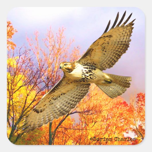 "High Flyer"-Stickers Vierkante Sticker (Voorkant)