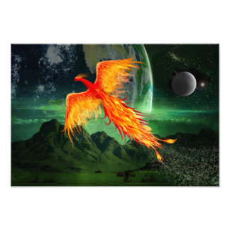 High Flying Phoenix Foto Afdruk