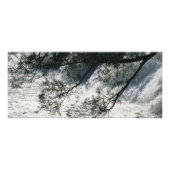 High Herfst Park, Georgia Foto Afdruk (Voorkant)