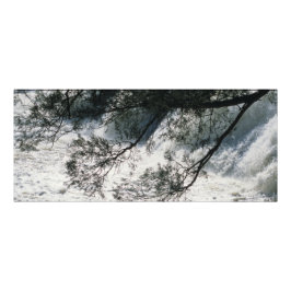 High Herfst Park, Georgia Foto Afdruk