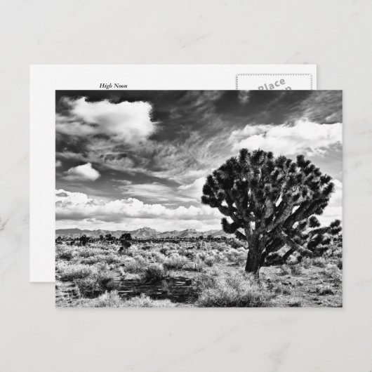 High Noon Briefkaart (Voorkant / Achterkant)