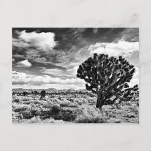 High Noon Briefkaart