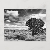 High Noon Briefkaart (Voorkant)