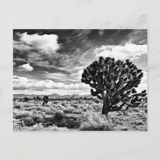 High Noon Briefkaart (Voorkant)