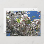 High Park Briefkaart (Voorkant / Achterkant)