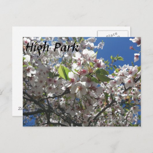 High Park Briefkaart (Voorkant / Achterkant)