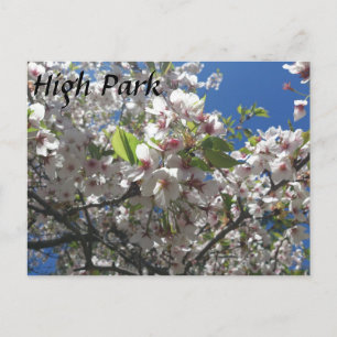 High Park Briefkaart