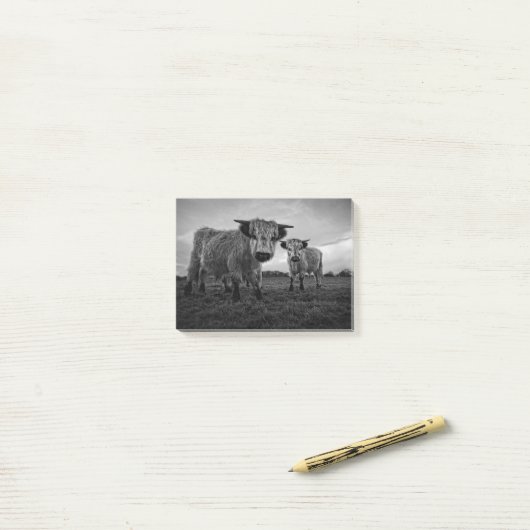 High Park Koe Mono Post-it® Notes (Op bureau)