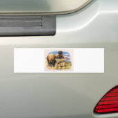 High Plains Bison Bumpersticker (Op auto)