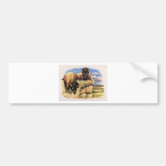 High Plains Bison Bumpersticker (Voorkant)