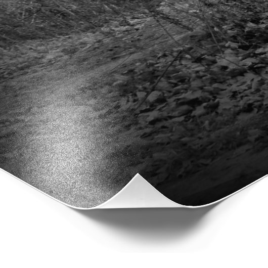 "High Prairie Installation" Foto Afdruk (Hoek)