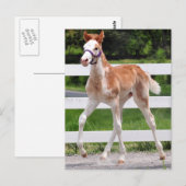 High Steppin Briefkaart (Voorkant / Achterkant)