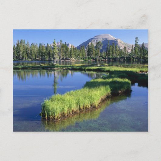 HIGH UINTAS WILDERNESS, UT, VS, schiereiland, Briefkaart (Voorkant)