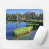 HIGH UINTAS WILDERNESS, UT, VS, schiereiland, Muismat (Met muis)