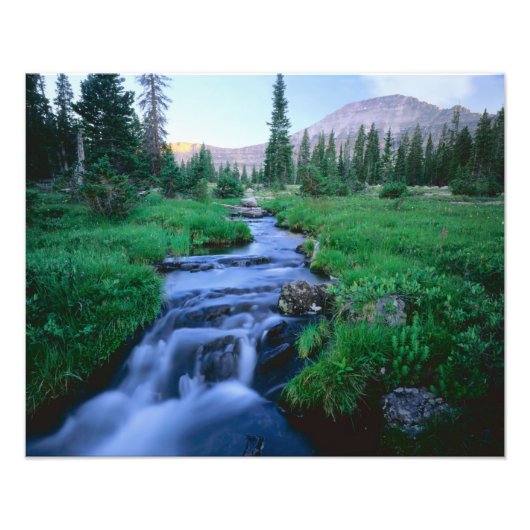 HIGH UINTAS WILDERNESS, UTAH. Stillwater Fork Foto Afdruk (Voorkant)