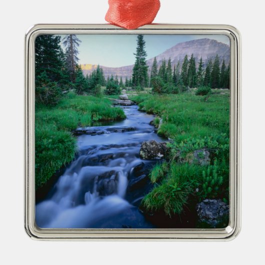 HIGH UINTAS WILDERNESS, UTAH. Stillwater Fork Metalen Ornament (Voorkant)