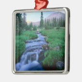 HIGH UINTAS WILDERNESS, UTAH. Stillwater Fork Metalen Ornament (Links)