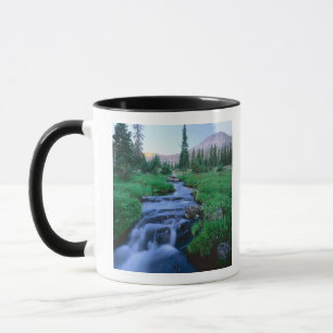 HIGH UINTAS WILDERNESS, UTAH. Stillwater Fork Mok