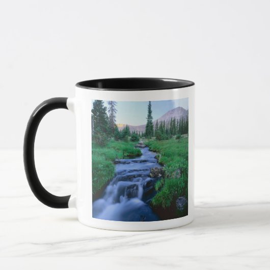 HIGH UINTAS WILDERNESS, UTAH. Stillwater Fork Mok (Links)