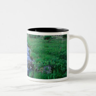 HIGH UINTAS WILDERNESS, UTAH. Stillwater Fork Tweekleurige Koffiemok