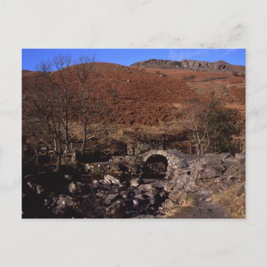 High Zweden Bridge Rydal Lake District England Briefkaart (Voorkant)