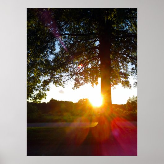 Highbanks Metro Park at Sunset, Columbus, Ohio Poster (Voorkant)