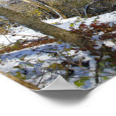 Highbanks Metro park, High Bluffs, in Winter, Ohio Poster (Hoek)