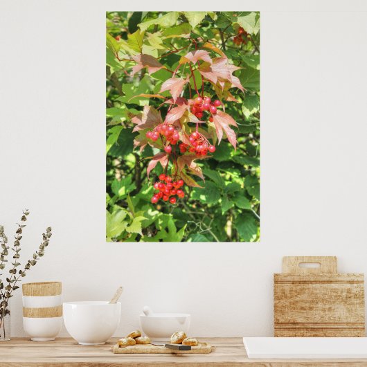 Highbush Cranberries Poster (Keuken)