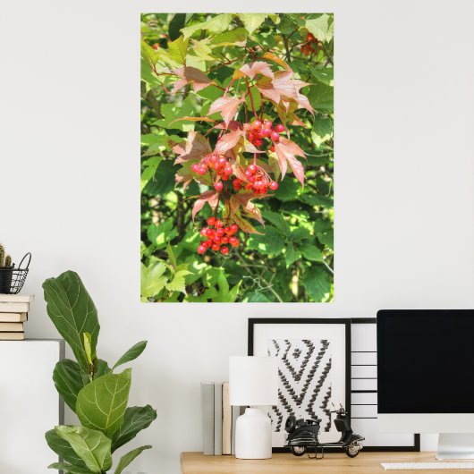 Highbush Cranberries Poster (Thuiskantoor)