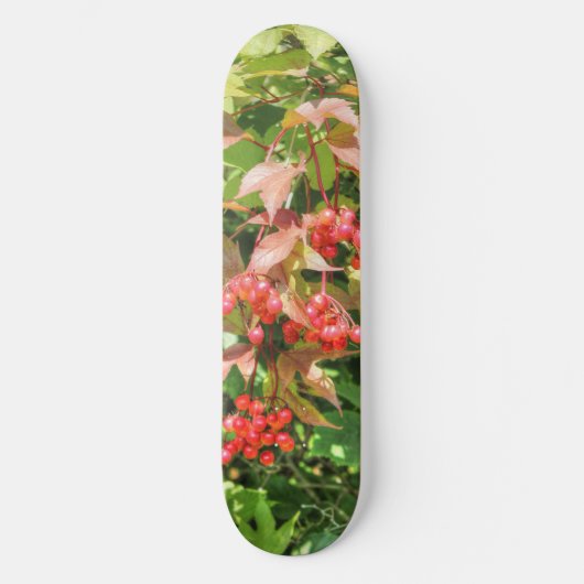 Highbush Cranberries Skateboard (Voorkant)