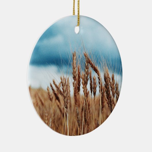 Highfill's Wheat Ornament (Rechts)